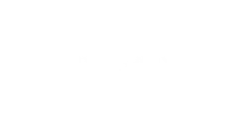 Zirvevox Logo